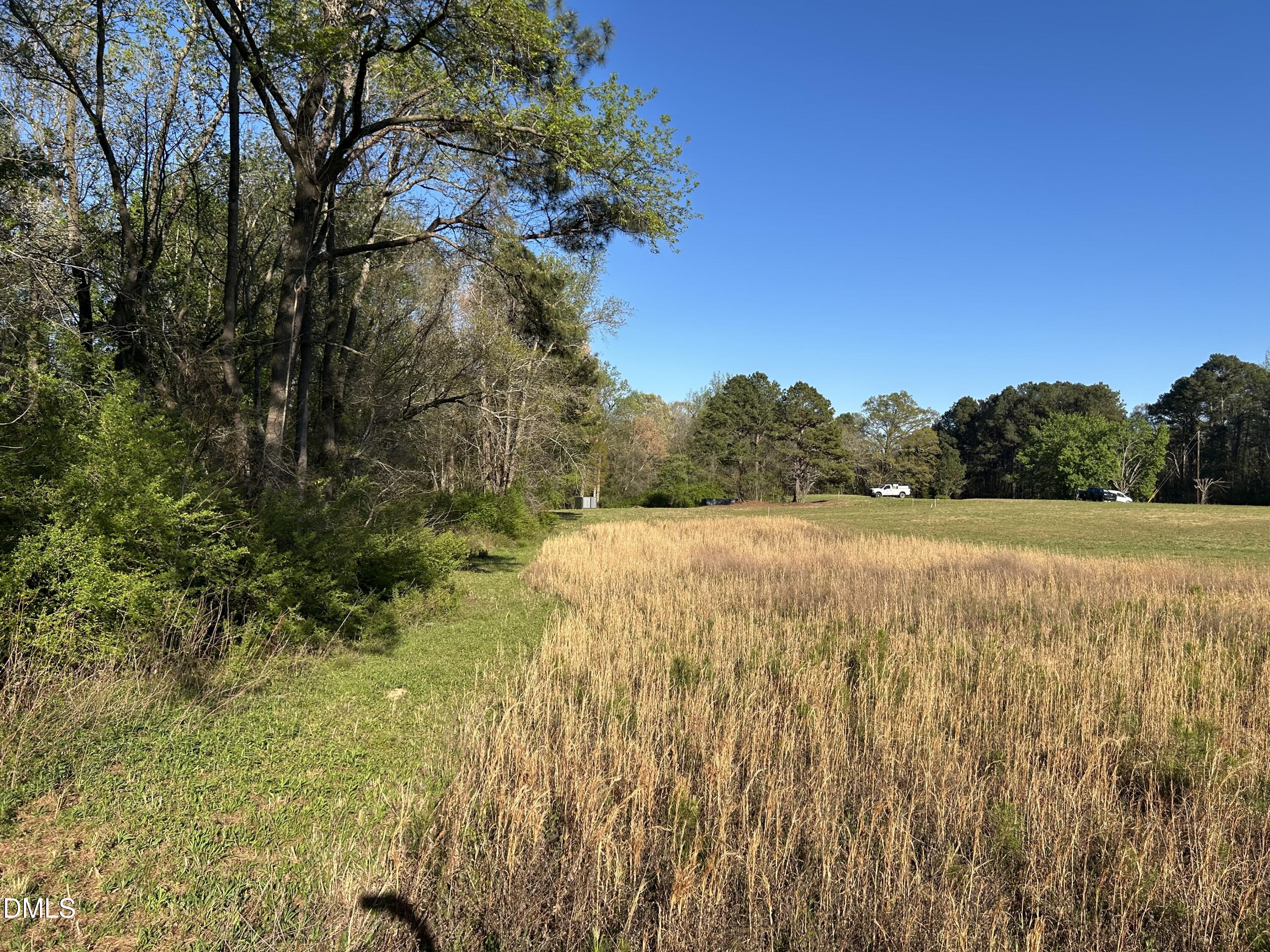 Land in Benson 5
