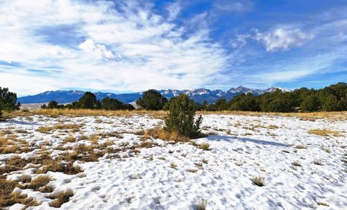 3654 Wykagyl Rd, Westcliffe, CO, 81252 | Card Image