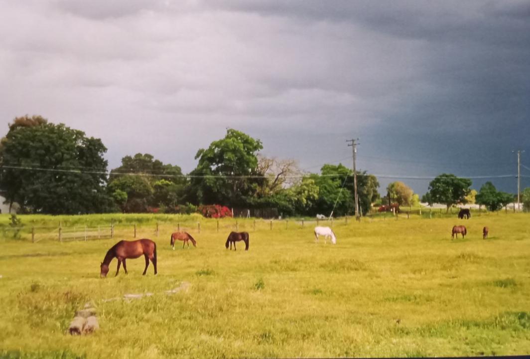 Land in Rio Linda