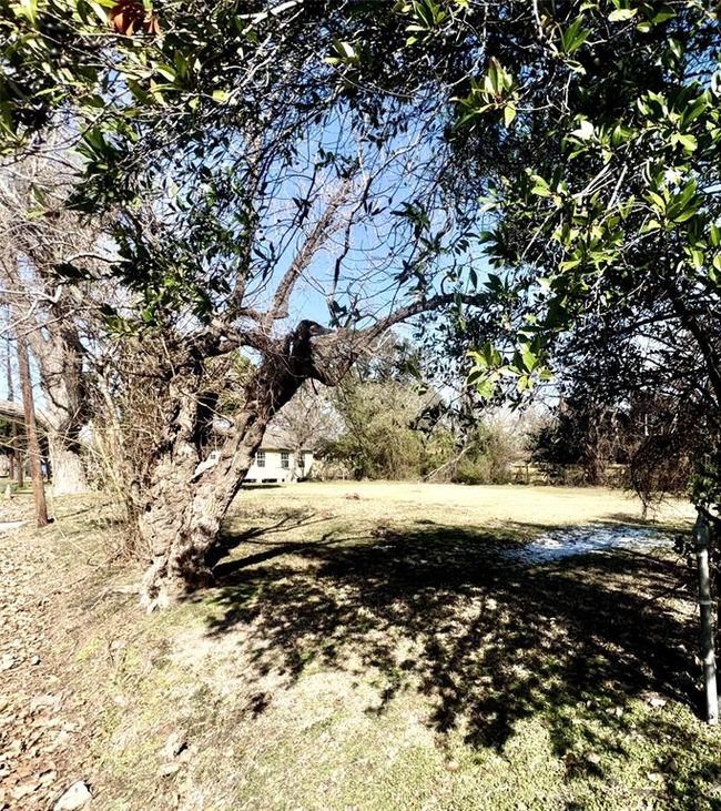 2306 Chew St, Home with 0 bedrooms, 0 bathrooms and null parking in Houston TX | Image 4