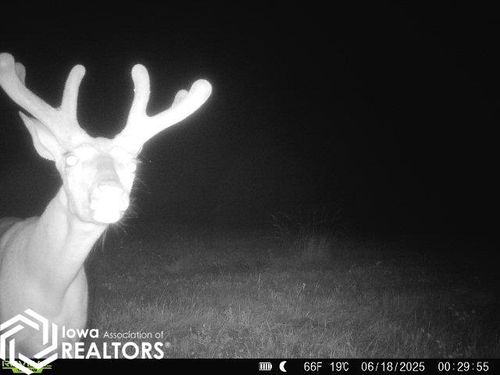 12679 Jewel Ave, Drakesville, IA, 52552-8705 | Card Image