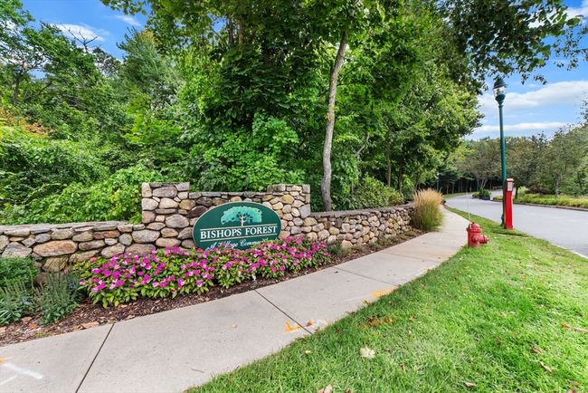 333 - 333 Bishops Forest Dr, Condo with 2 bedrooms, 3 bathrooms and 1 parking in Waltham MA | Image 21