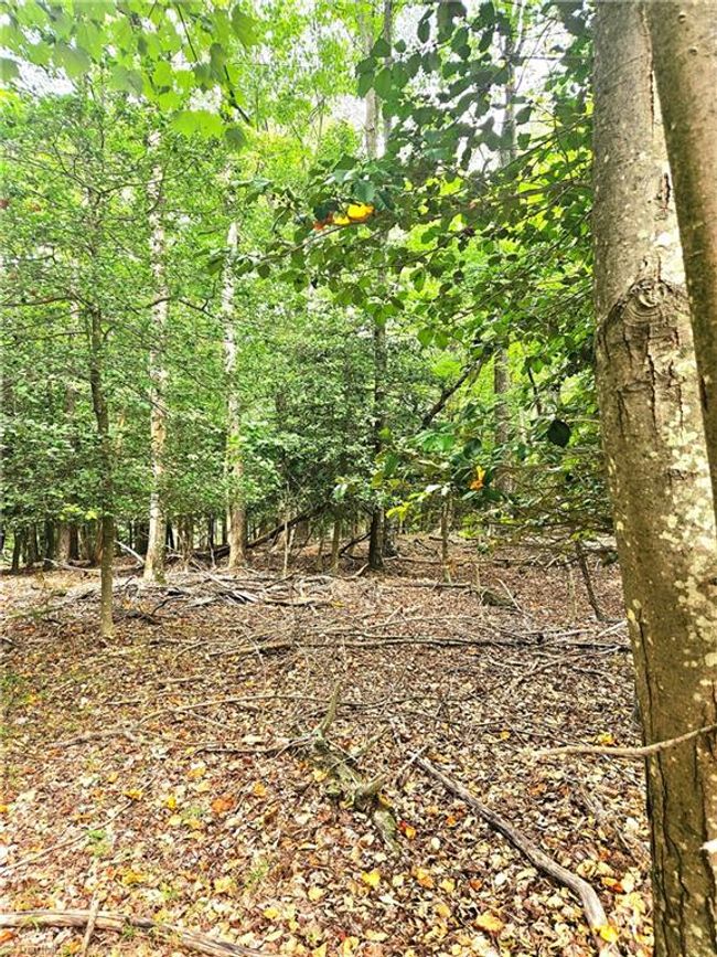 133 View Point Dr, Home with 0 bedrooms, 0 bathrooms and null parking in Traphill NC | Image 7