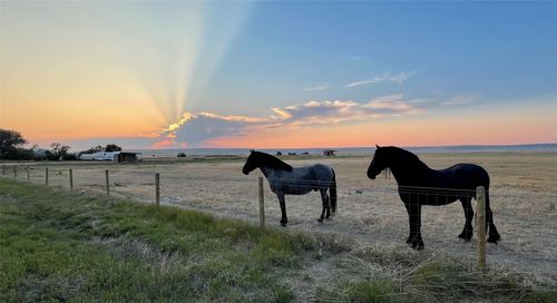 201 W Ulm Road, Ulm, MT, 59485 | Card Image