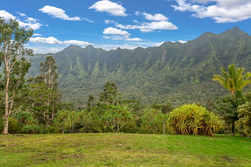 3-2818 Kamookoa Rd, KILAUEA, HI, 96754-5110 | Card Image