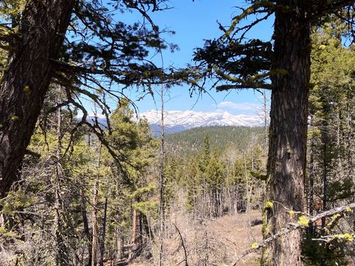 3595 Bear Gulch Rd, Lincoln, MT, 59639-7716 | Card Image