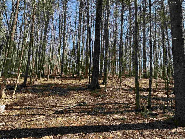 400 Manning Hill Rd, Home with 0 bedrooms, 0 bathrooms and null parking in Winchester NH | Image 4