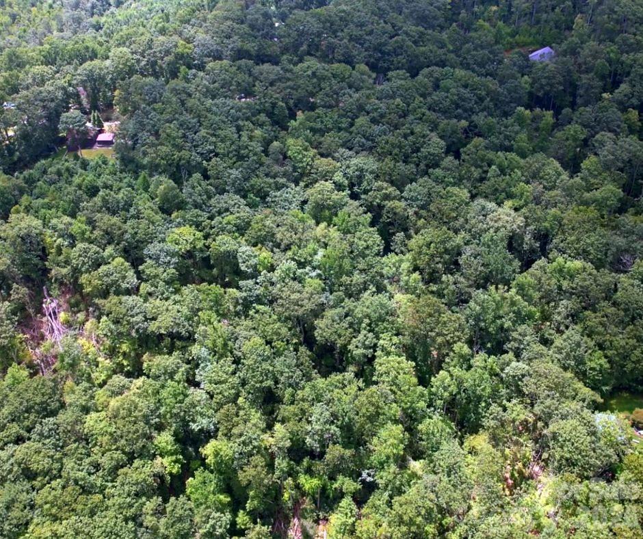 Land in Hendersonville 3