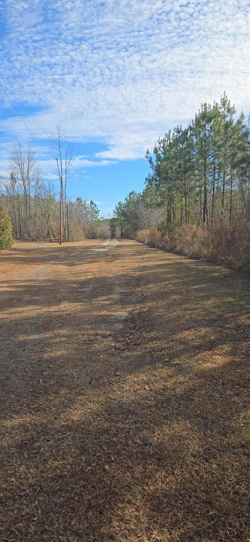 00 Primus Dr, Saint George, SC, 29477 | Card Image