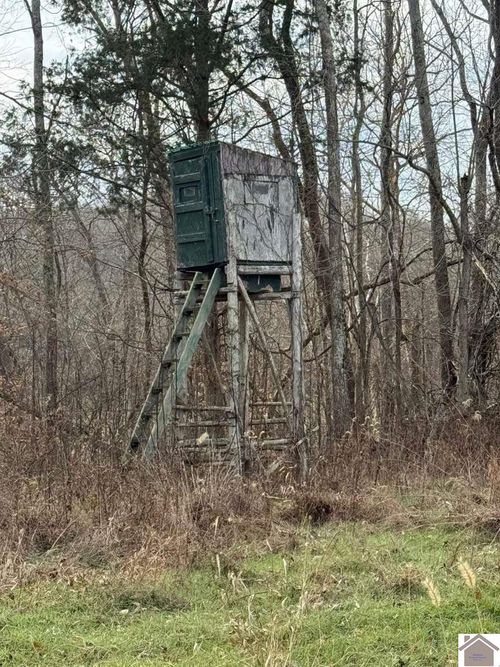 2053 Princeton Olney Rd, Princeton, KY, 42445 | Card Image