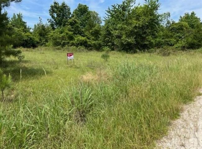 00 Lake Nacogdoches Ranch, Home with 0 bedrooms, 0 bathrooms and null parking in Douglass TX | Image 15