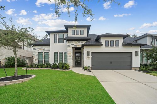 221 Patina Sorrel Dr, Montgomery, TX, 77316-2869 | Card Image