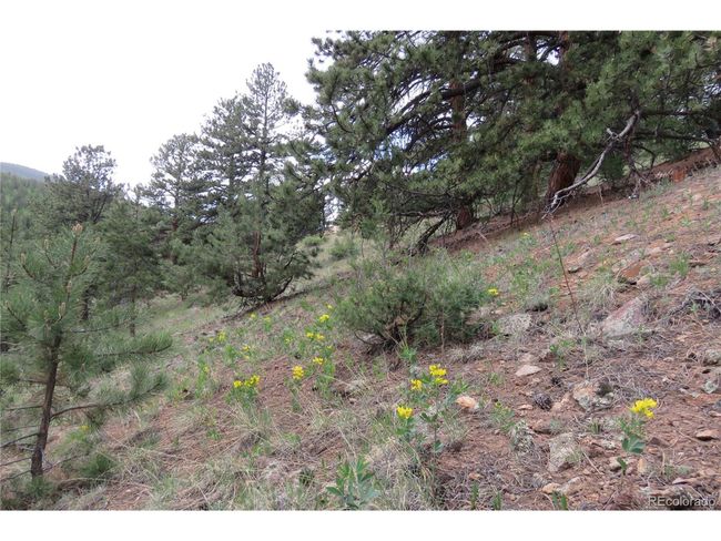 0 Come And See Mine, Home with 0 bedrooms, 0 bathrooms and null parking in Central City CO | Image 33