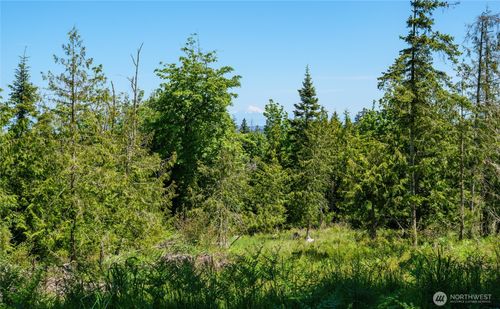 0 Little Loop Dr, Port Angeles, WA, 98362 | Card Image