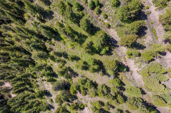 25575 Patter Spur Rd, Home with 0 bedrooms, 0 bathrooms and null parking in Clinton MT | Image 16