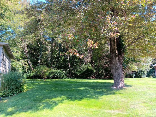 6 Dupreay Rd, House other with 3 bedrooms, 2 bathrooms and 6 parking in Prospect CT | Image 29