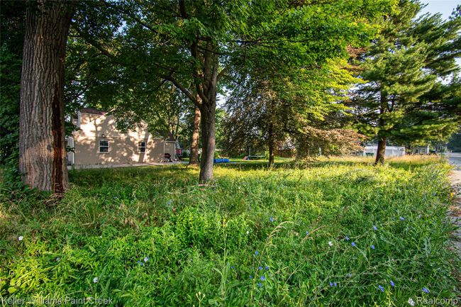 DSC_4091.jpg | Image 7