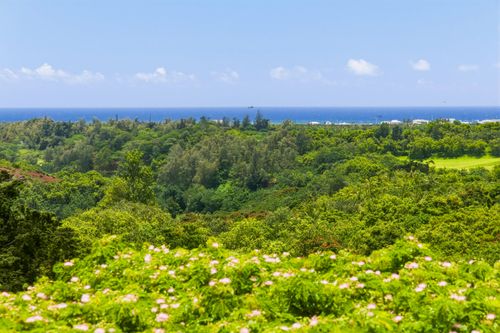 b401-3-3400 Kuhio Hwy, Lihue, HI, 96766-1079 | Card Image