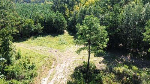 1 Lowcountry Hwy, Ruffin, SC, 29475 | Card Image