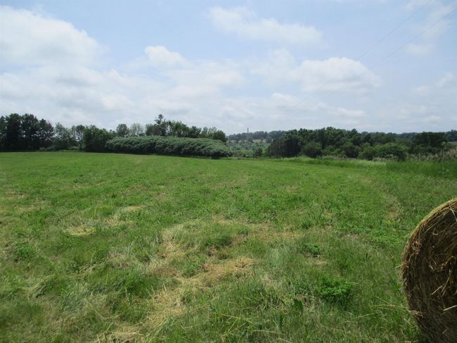 10627 Zanon Dr, House other with 4 bedrooms, 2 bathrooms and null parking in Cazenovia WI | Image 76