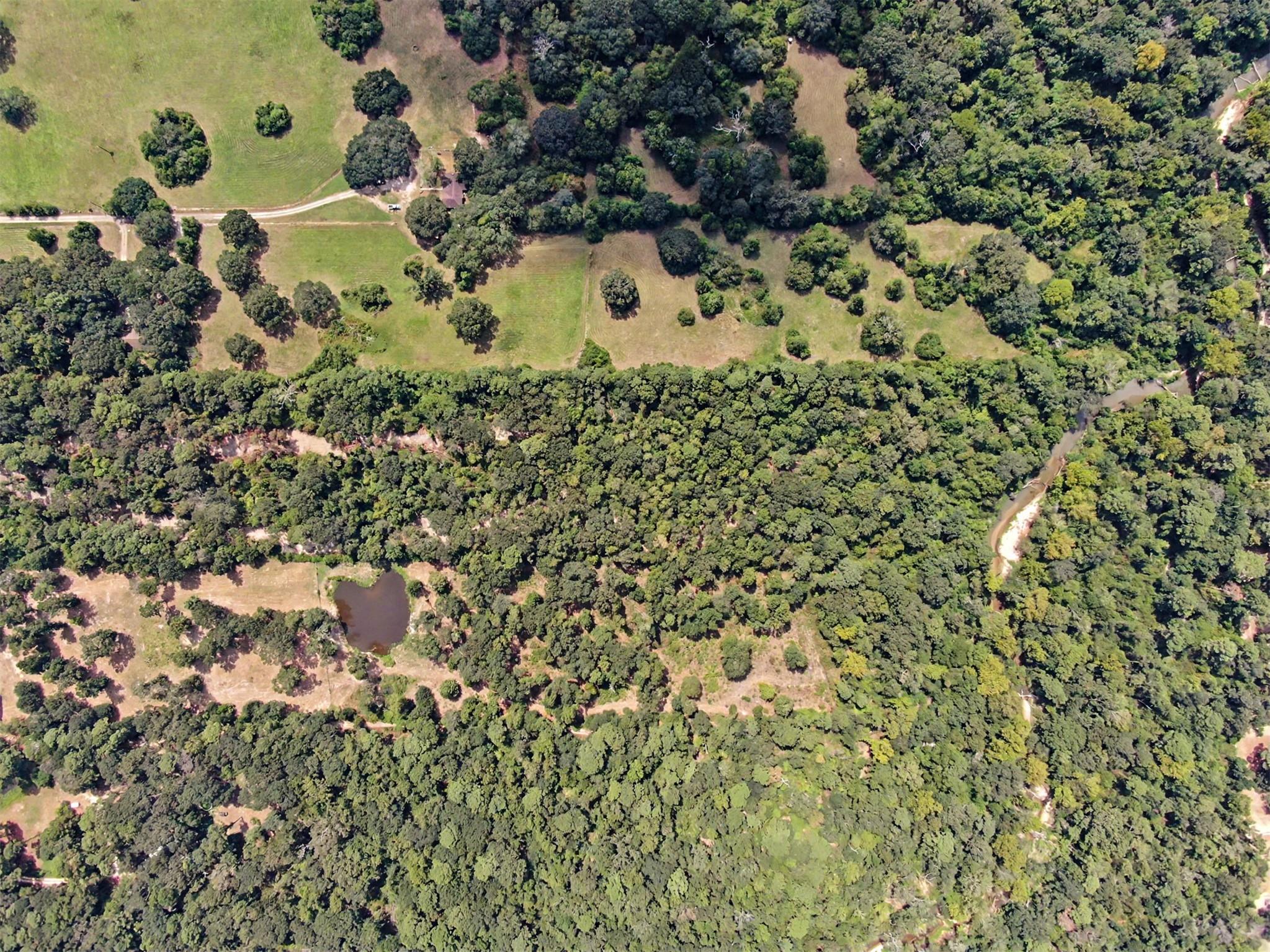 Land in Conroe 4