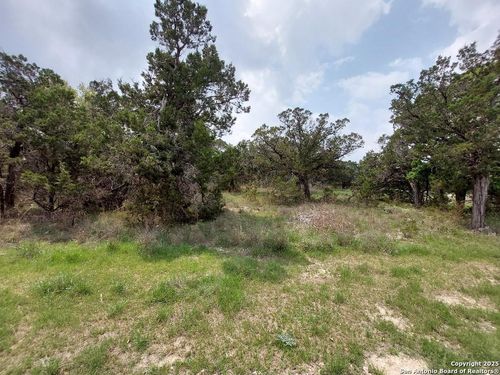 2170 Fuller Dr, Canyon Lake, TX, 78133-2381 | Card Image