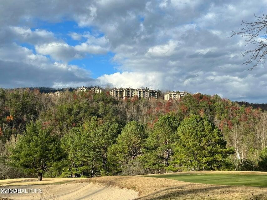 Residential in Gatlinburg 3
