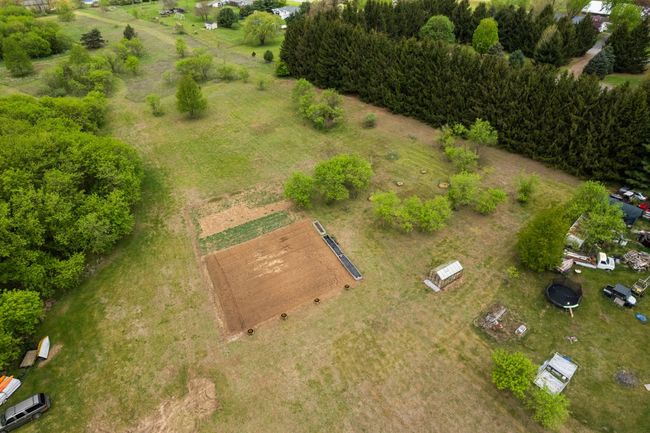 Garden this spring with fruit trees to the right | Image 8