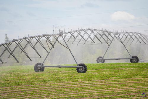 2628 Chauncey Dublin Hwy, Chauncey, GA, 31011-3149 | Card Image