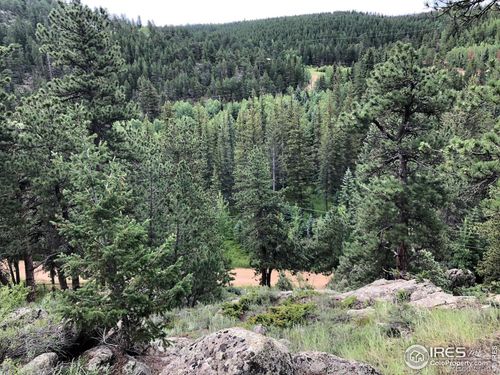 0 Cold Springs Rd, Nederland, CO, 80466 | Card Image