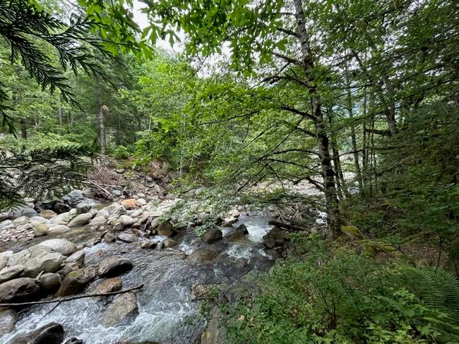 Lot 6 Trans Canada Highway, Home with 0 bedrooms, 0 bathrooms and null parking in Yale BC | Image 16