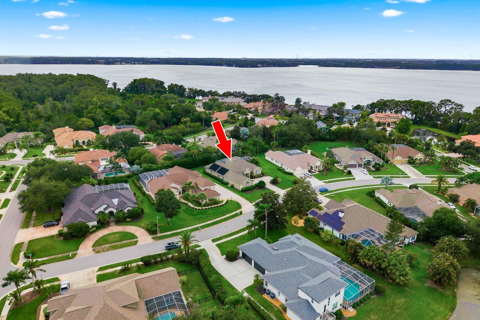 Residential in PALM HARBOR 2