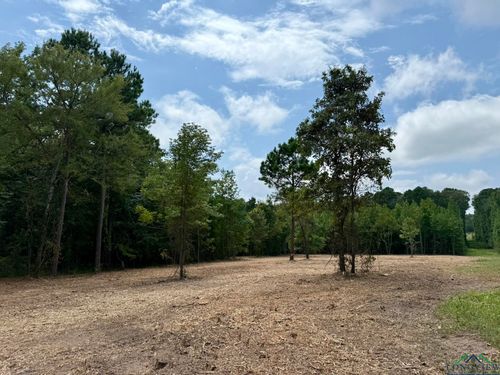 TBD County Rd, Jefferson, TX, 75657 | Card Image