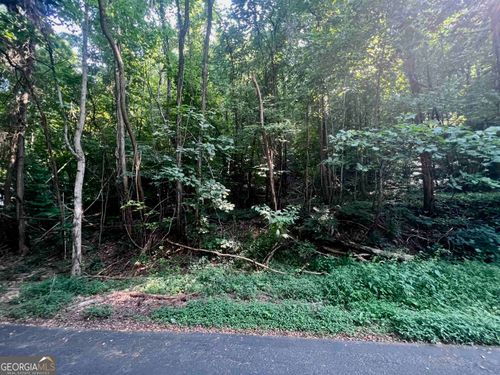 LOT 13 Chalet Dr, Sautee Nacoochee, GA, 30571-3620 | Card Image