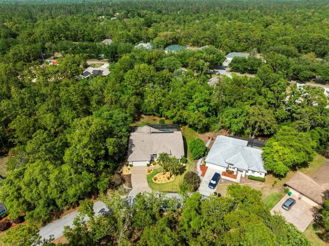 11 Nicotiana Ct, House other with 3 bedrooms, 2 bathrooms and null parking in Homosassa FL | Image 75