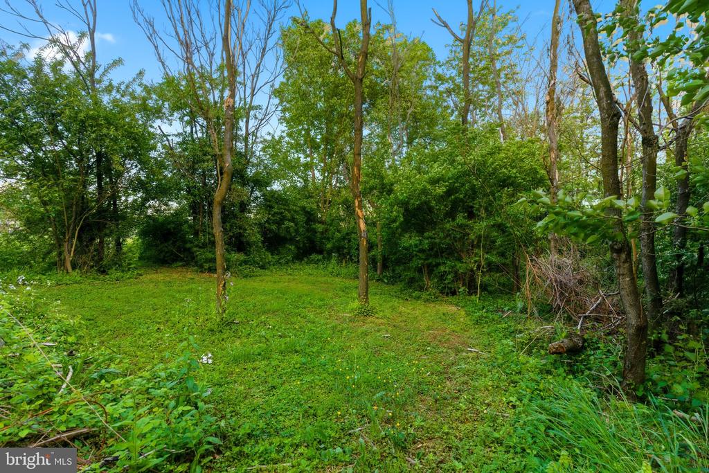 Land in MARTINSBURG 5