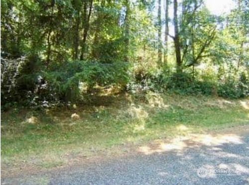 10408 100th Street Ct, Anderson Island, WA, 98303 | Card Image