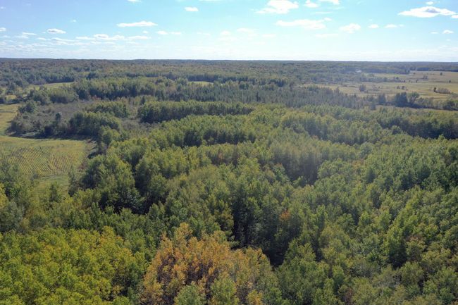 DJI_0462.JPG | Image 27