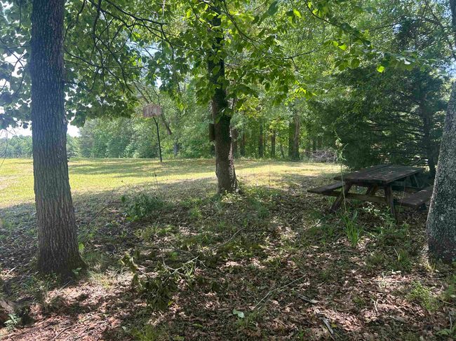 0 Brewer Lake Rd, House other with 1 bedrooms, 1 bathrooms and null parking in Double Springs AL | Image 17