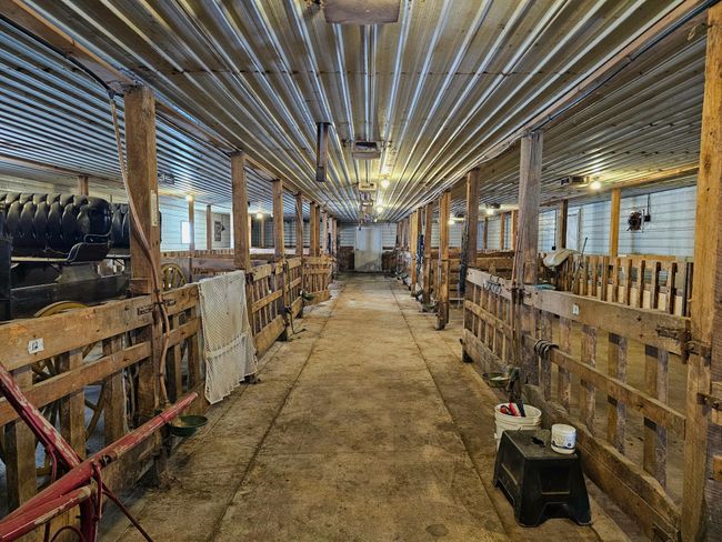 36x108 Calf Barn | Image 54