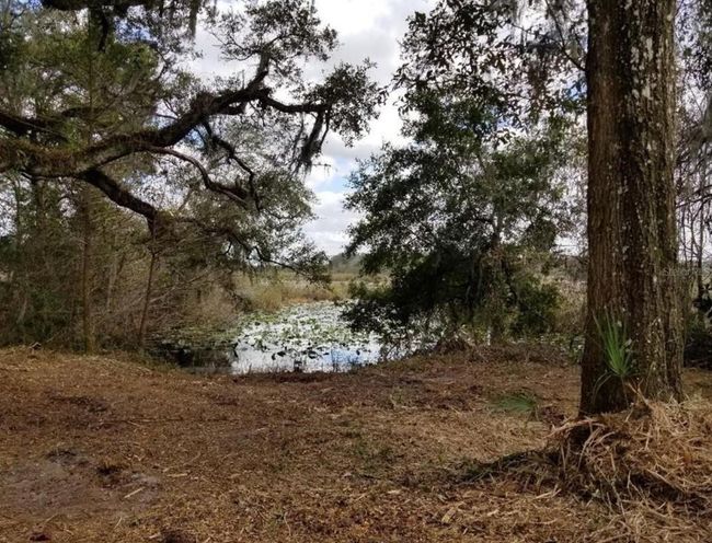 1005 N Pennybacker Rd, Home with 0 bedrooms, 0 bathrooms and null parking in Inverness FL | Image 12
