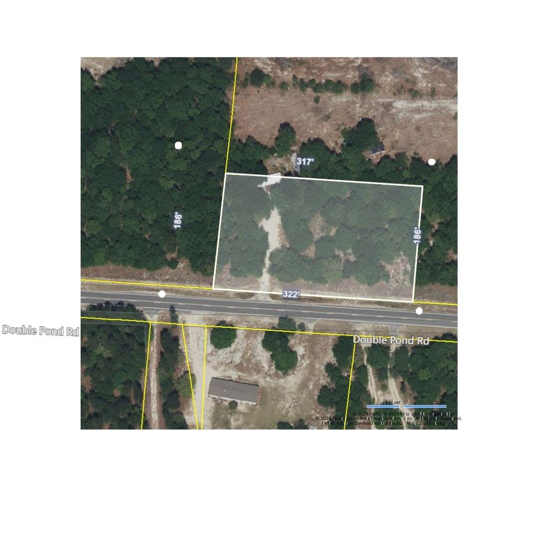 Double Pond Rd, Blackville, SC 29817