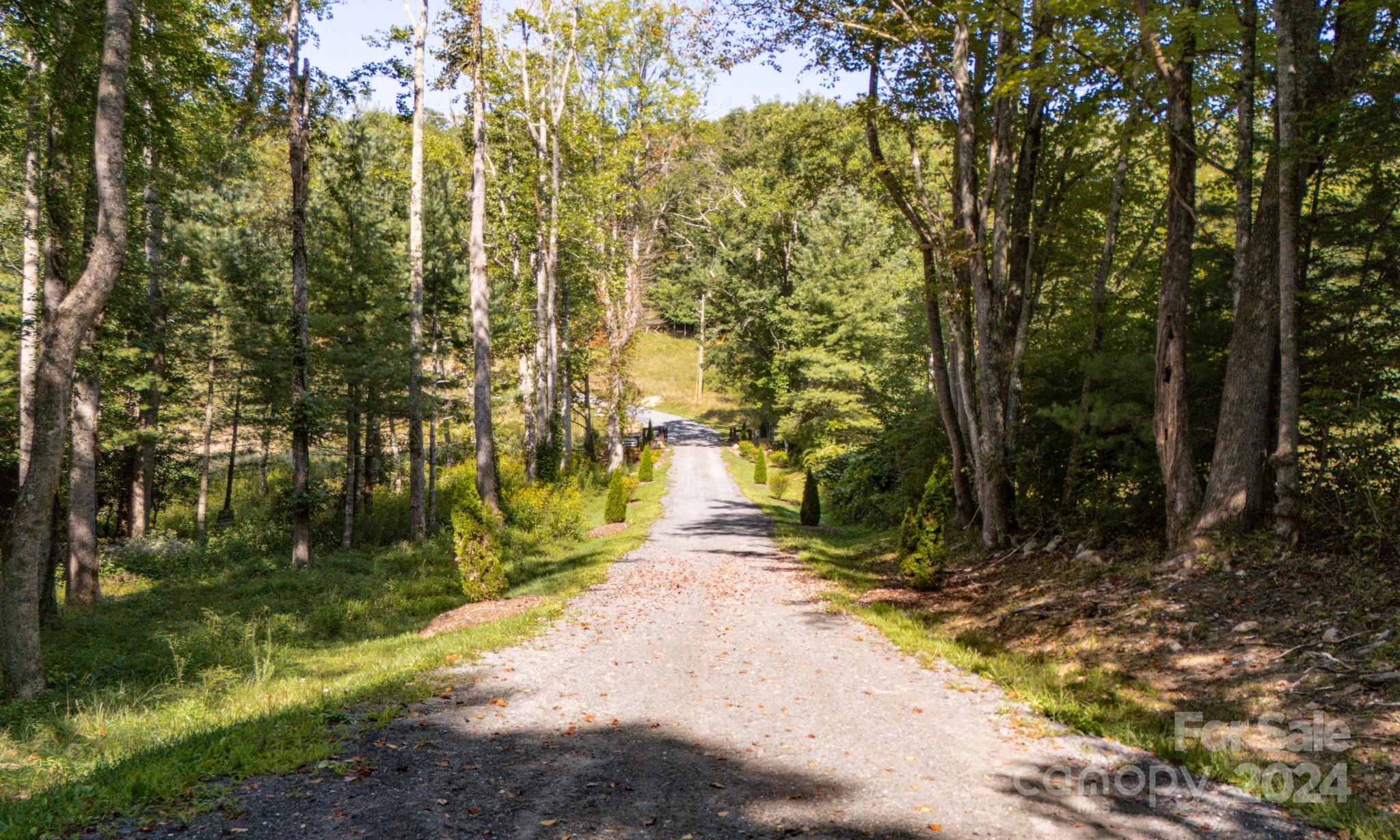 Land in Spruce Pine 4