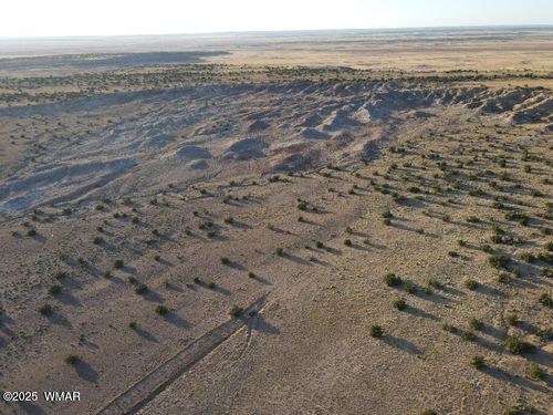 Lot 12 Carrizo Ranch N6204, St Johns, AZ, 85936 | Card Image