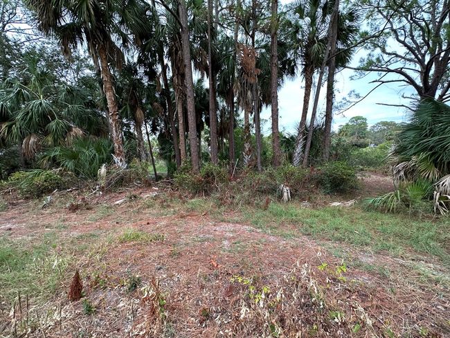 5 Lots Ingleside Pl, Home with 0 bedrooms, 0 bathrooms and null parking in Cedar Key FL | Image 9