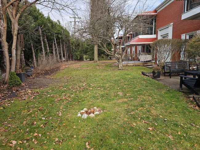 Back Yard | Image 45
