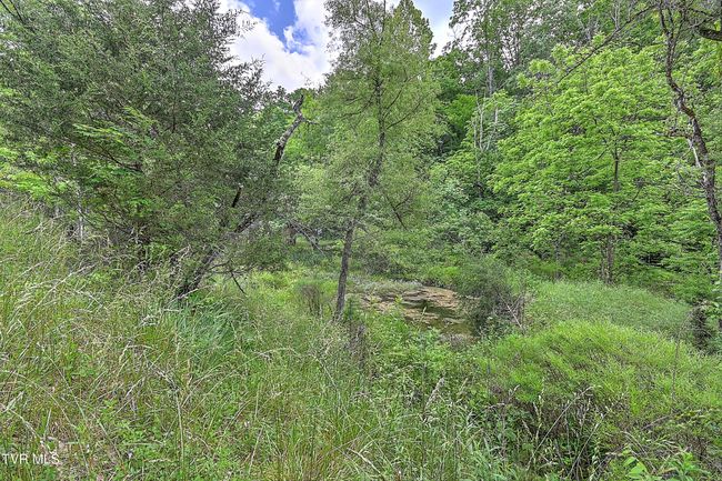 000 Goode Hollow Rd, Home with 0 bedrooms, 0 bathrooms and null parking in Duffield VA | Image 19