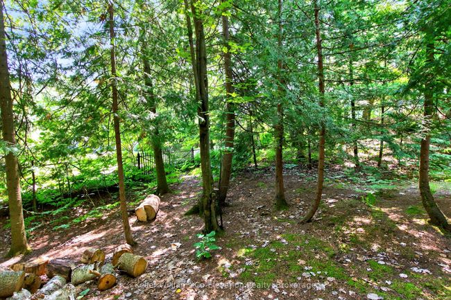 19 Evans Dr, House other with 3 bedrooms, 1 bathrooms and 3 parking in Tiny ON | Image 20
