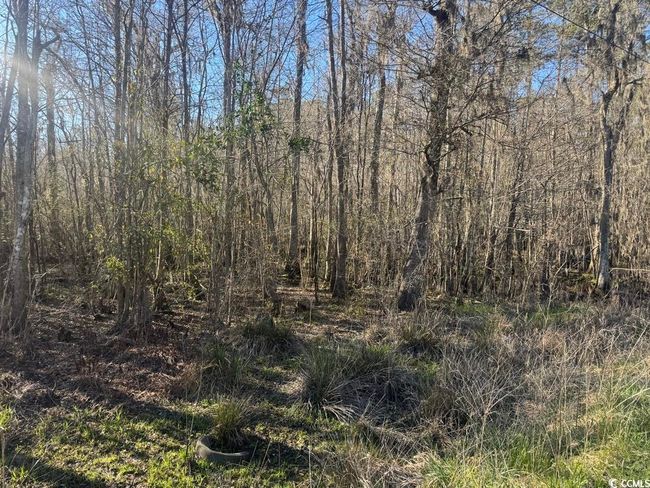 2135 Highway 646, Home with 0 bedrooms, 0 bathrooms and null parking in Green Sea SC | Image 8