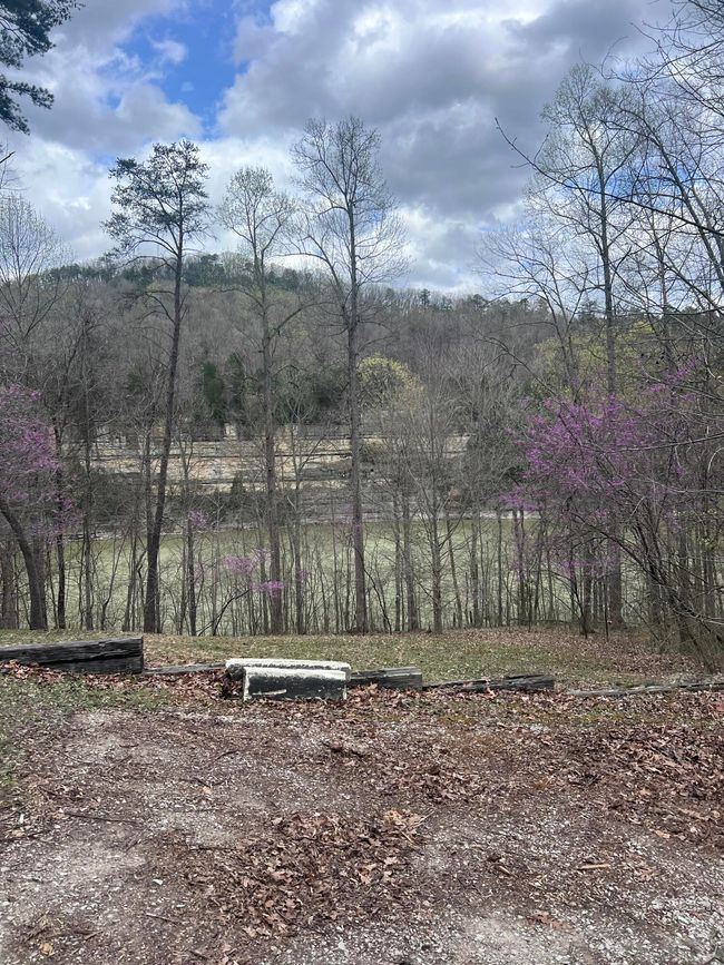 210 Echo Rd, House other with 3 bedrooms, 1 bathrooms and null parking in Bronston KY | Image 41